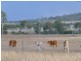 Ban Ban QLD 4625