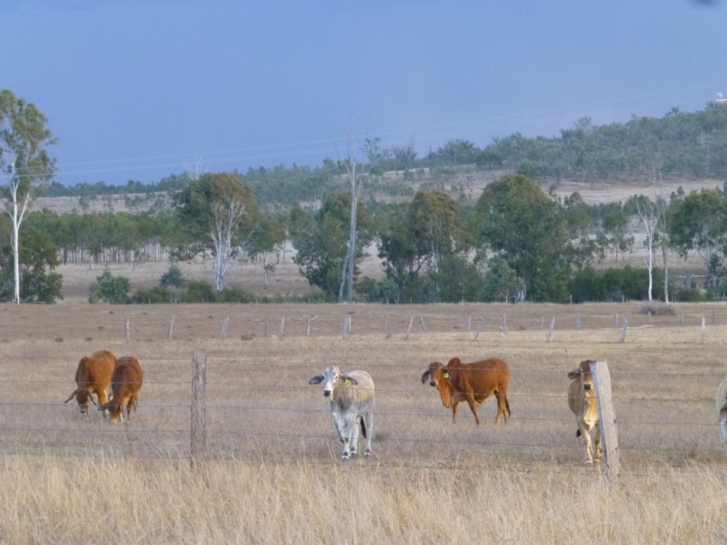 Ban Ban QLD 4625