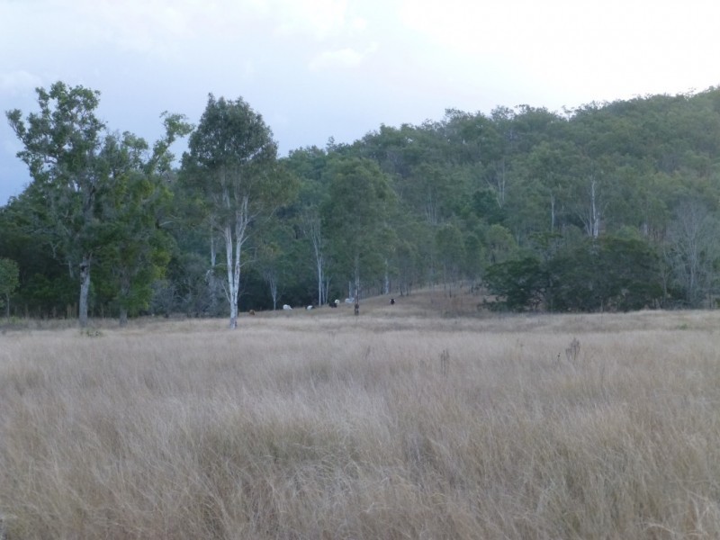 Ban Ban QLD 4625