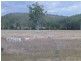 Ban Ban QLD 4625