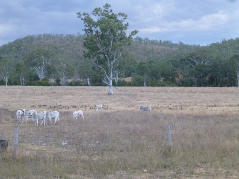 Ban Ban QLD 4625