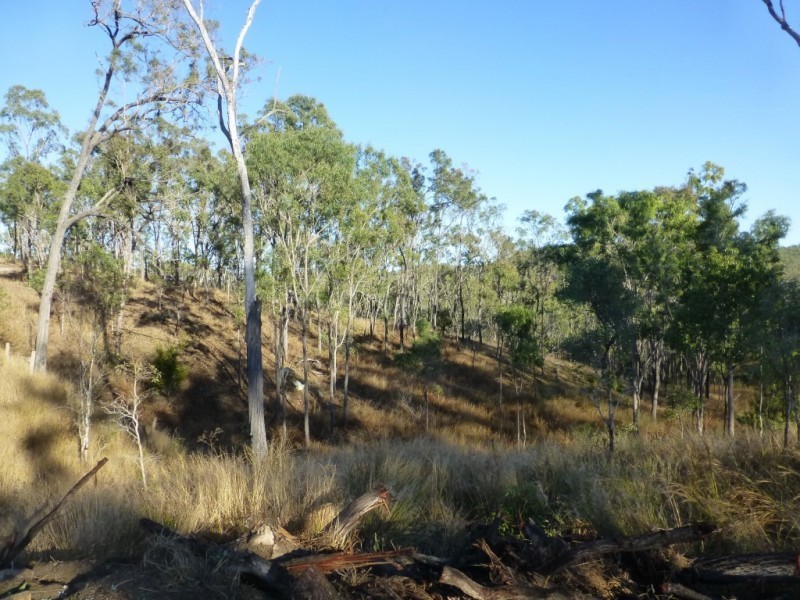 Ban Ban QLD 4625