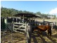 Ban Ban QLD 4625