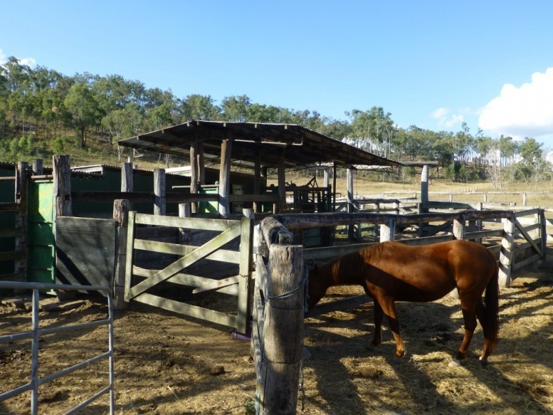 Ban Ban QLD 4625