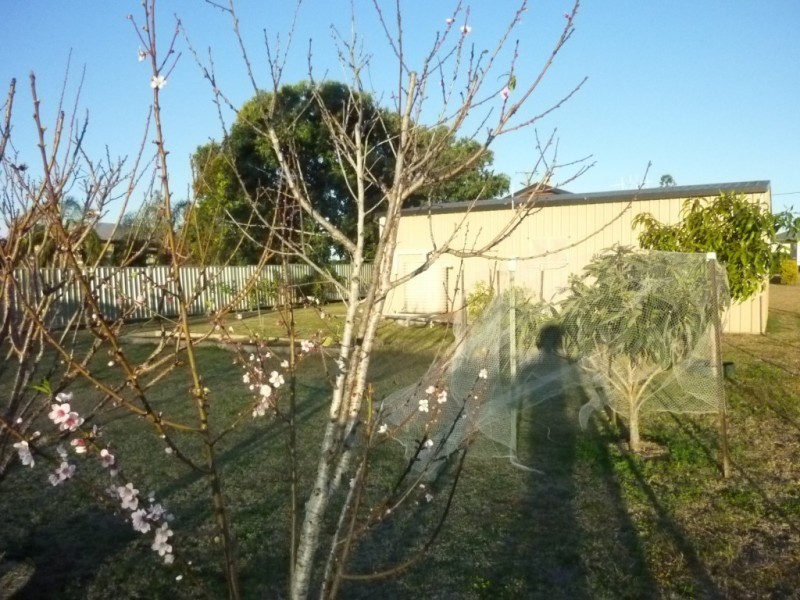 12 KIMBER STREET, Biggenden QLD 4621