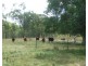 8049 ISIS HIGHWAY, Dallarnil QLD 4621
