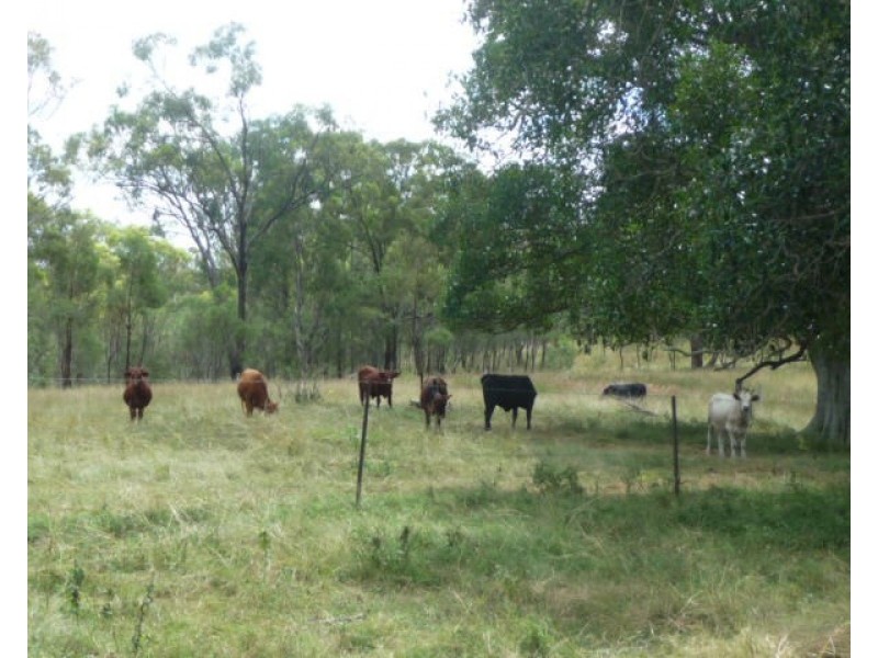 8049 ISIS HIGHWAY, Dallarnil QLD 4621