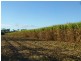 Redridge QLD 4660