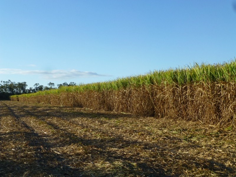 Redridge QLD 4660