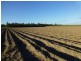 Redridge QLD 4660