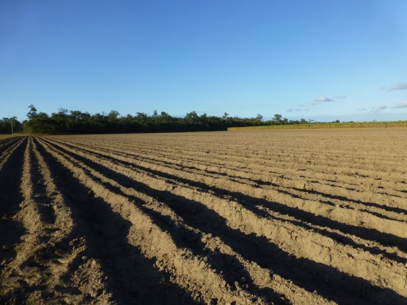 Redridge QLD 4660