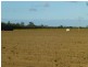 Redridge QLD 4660