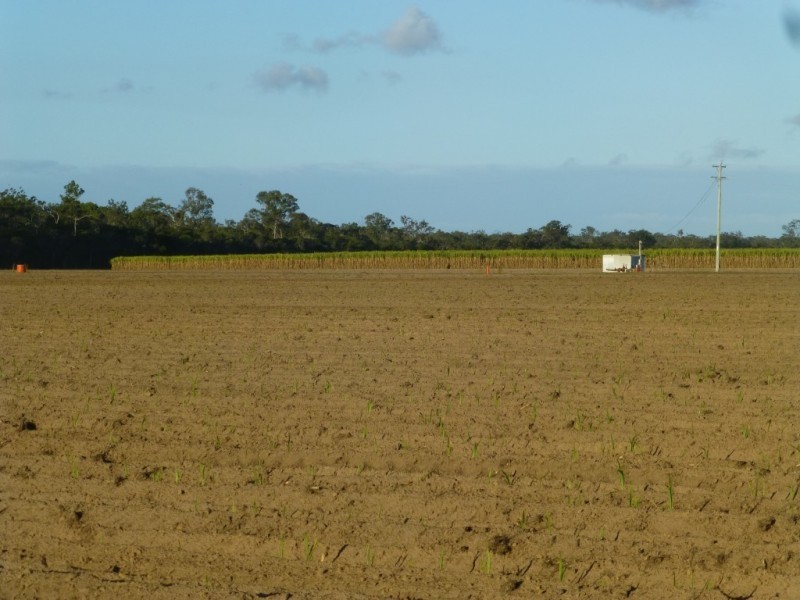 Redridge QLD 4660