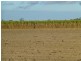Redridge QLD 4660