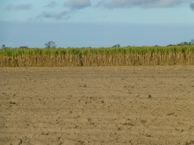Redridge QLD 4660