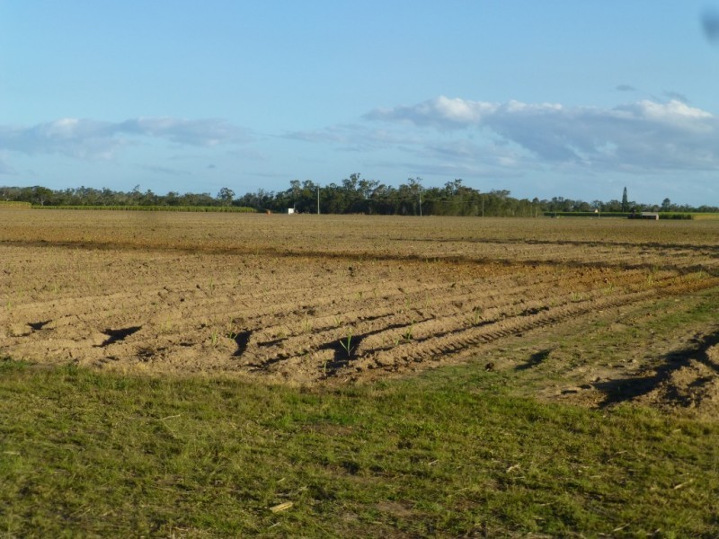 Redridge QLD 4660