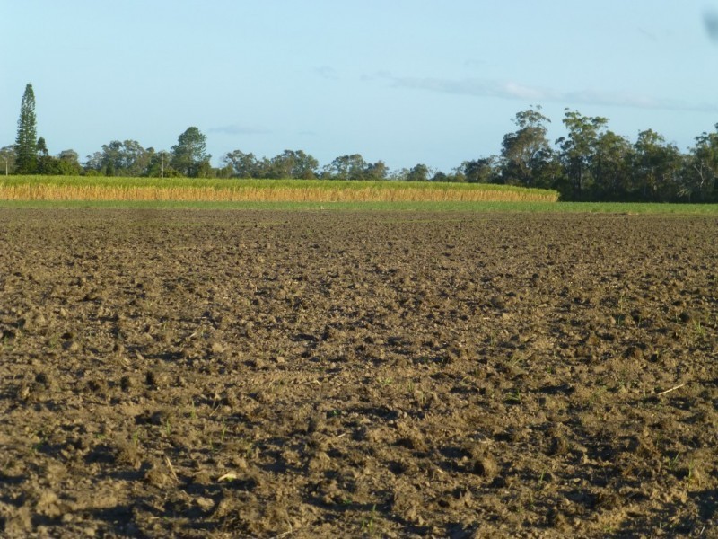 Redridge QLD 4660
