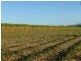 Redridge QLD 4660