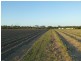 Redridge QLD 4660
