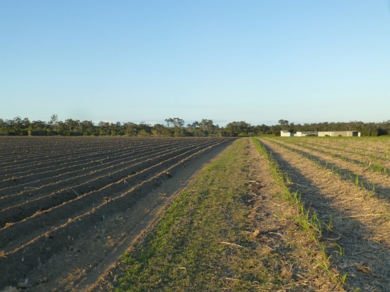 Redridge QLD 4660