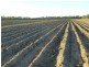 Redridge QLD 4660