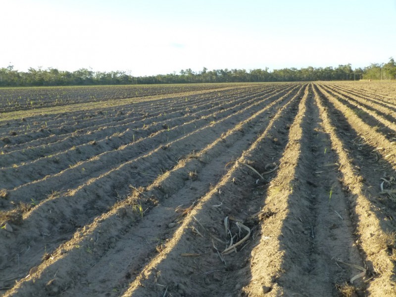Redridge QLD 4660