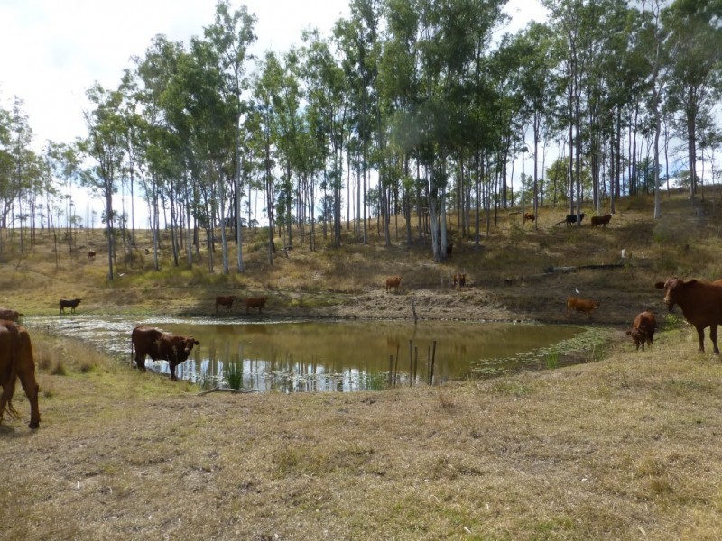 Lot 2 & 2,  Jacksons Road, South Isis QLD 4660