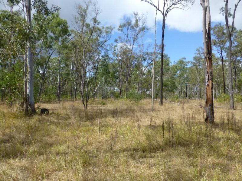 Lot 2 & 2,  Jacksons Road, South Isis QLD 4660