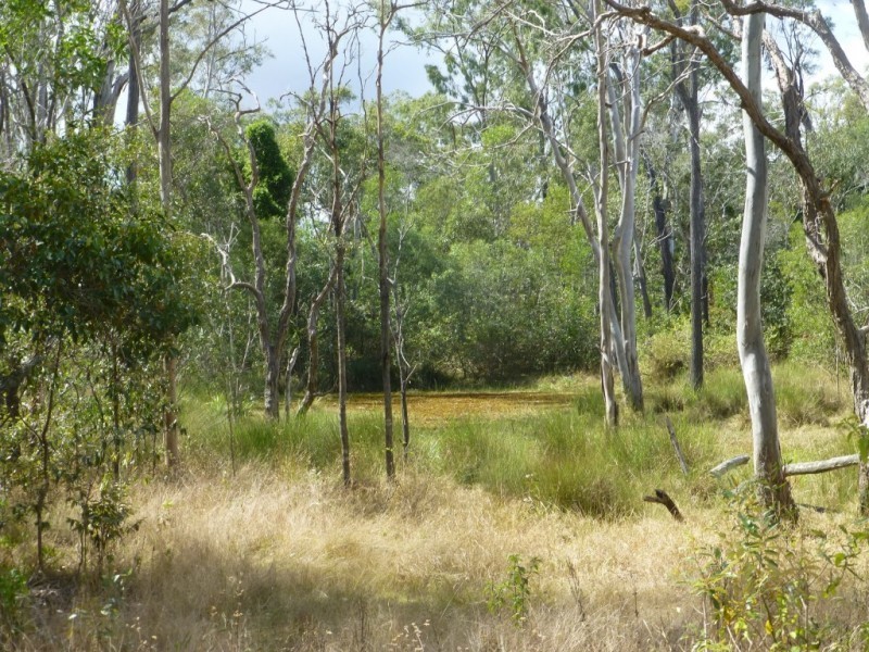 Lot 2 & 2,  Jacksons Road, South Isis QLD 4660