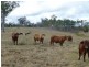 Lot 2 & 2,  Jacksons Road, South Isis QLD 4660