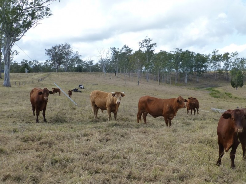 Lot 2 & 2,  Jacksons Road, South Isis QLD 4660