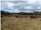 Lot 2 & 2,  Jacksons Road, South Isis QLD 4660