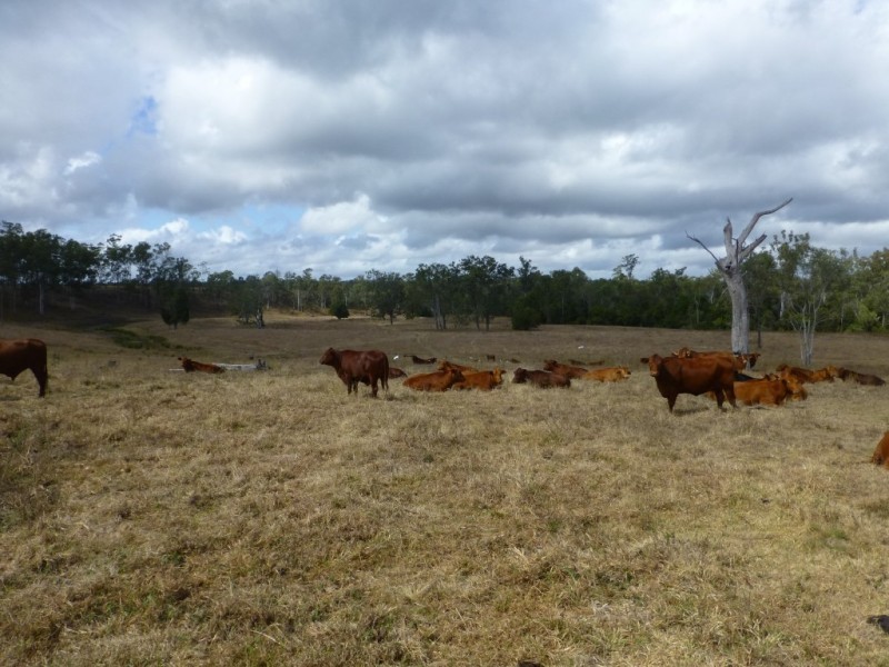 Lot 2 & 2,  Jacksons Road, South Isis QLD 4660