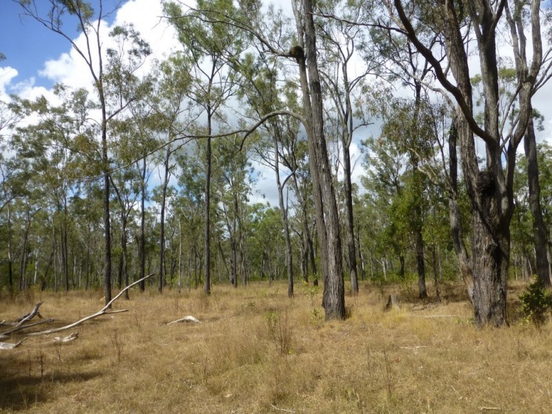 Lot 2 & 2,  Jacksons Road, South Isis QLD 4660