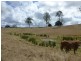 Lot 2 & 2,  Jacksons Road, South Isis QLD 4660