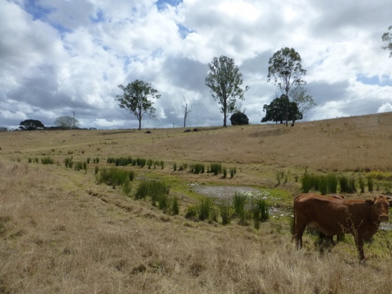 Lot 2 & 2,  Jacksons Road, South Isis QLD 4660