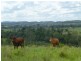 374 CORINGA ROAD, Biggenden QLD 4621