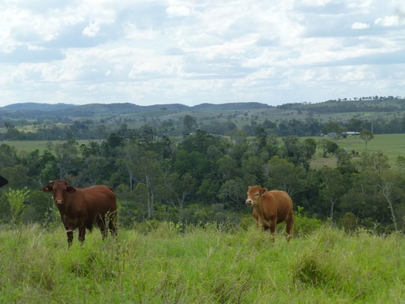 374 CORINGA ROAD, Biggenden QLD 4621