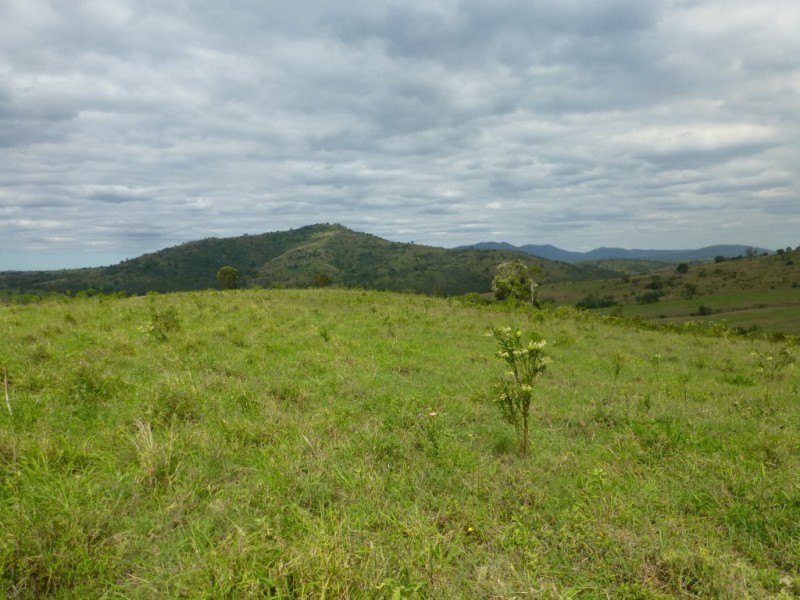 374 CORINGA ROAD, Biggenden QLD 4621