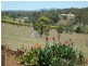 131 ATC HALL ROAD, North Isis QLD 4660