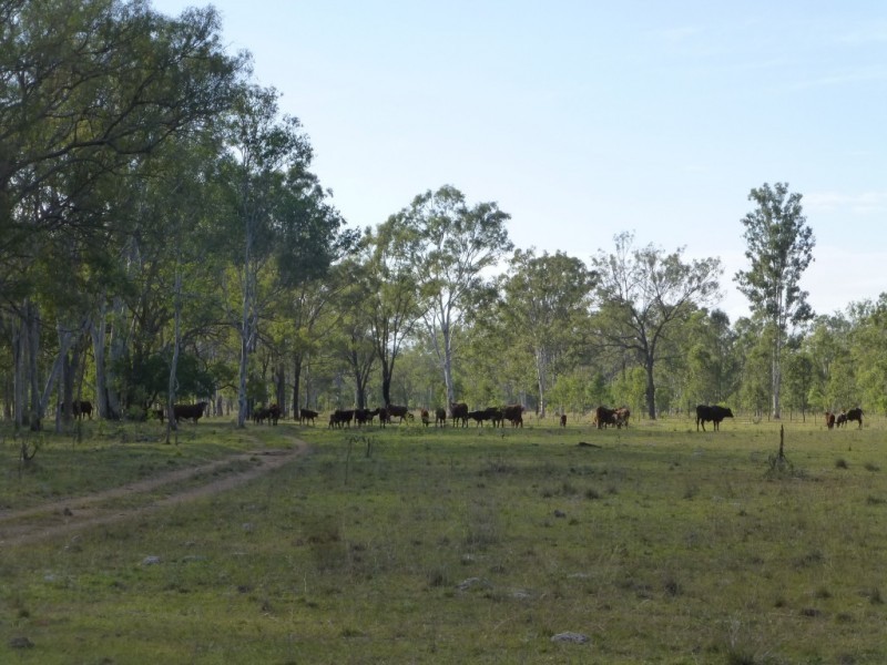 0 ISIS HIGHWAY, Biggenden QLD 4621