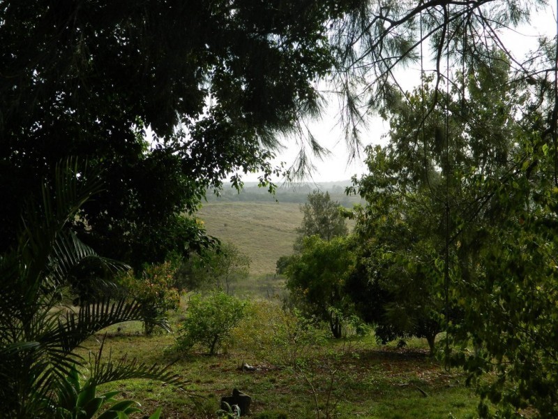 378 HUXLEY ROAD, North Isis QLD 4660