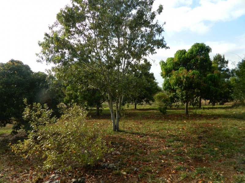 378 HUXLEY ROAD, North Isis QLD 4660