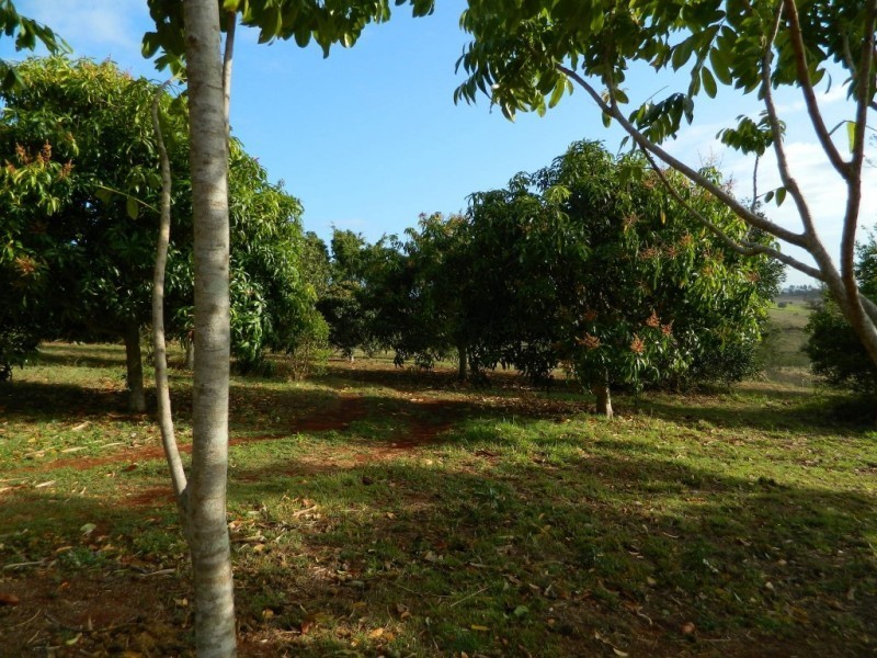 378 HUXLEY ROAD, North Isis QLD 4660