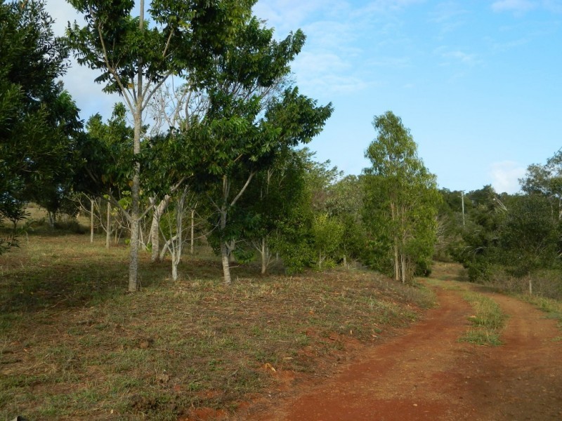 378 HUXLEY ROAD, North Isis QLD 4660