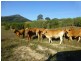 Woowoonga QLD 4621