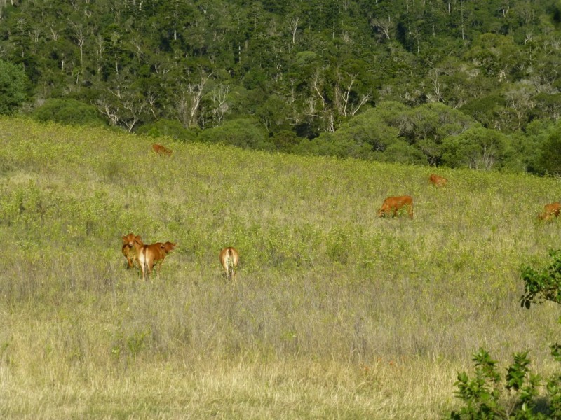 Woowoonga QLD 4621