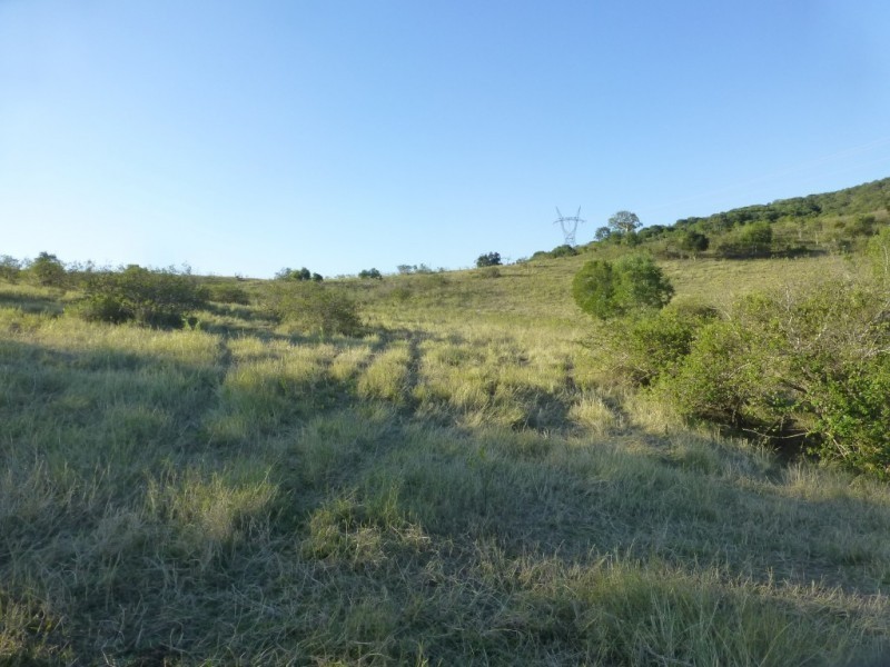 Woowoonga QLD 4621