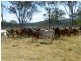 Biggenden QLD 4621