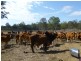 Biggenden QLD 4621